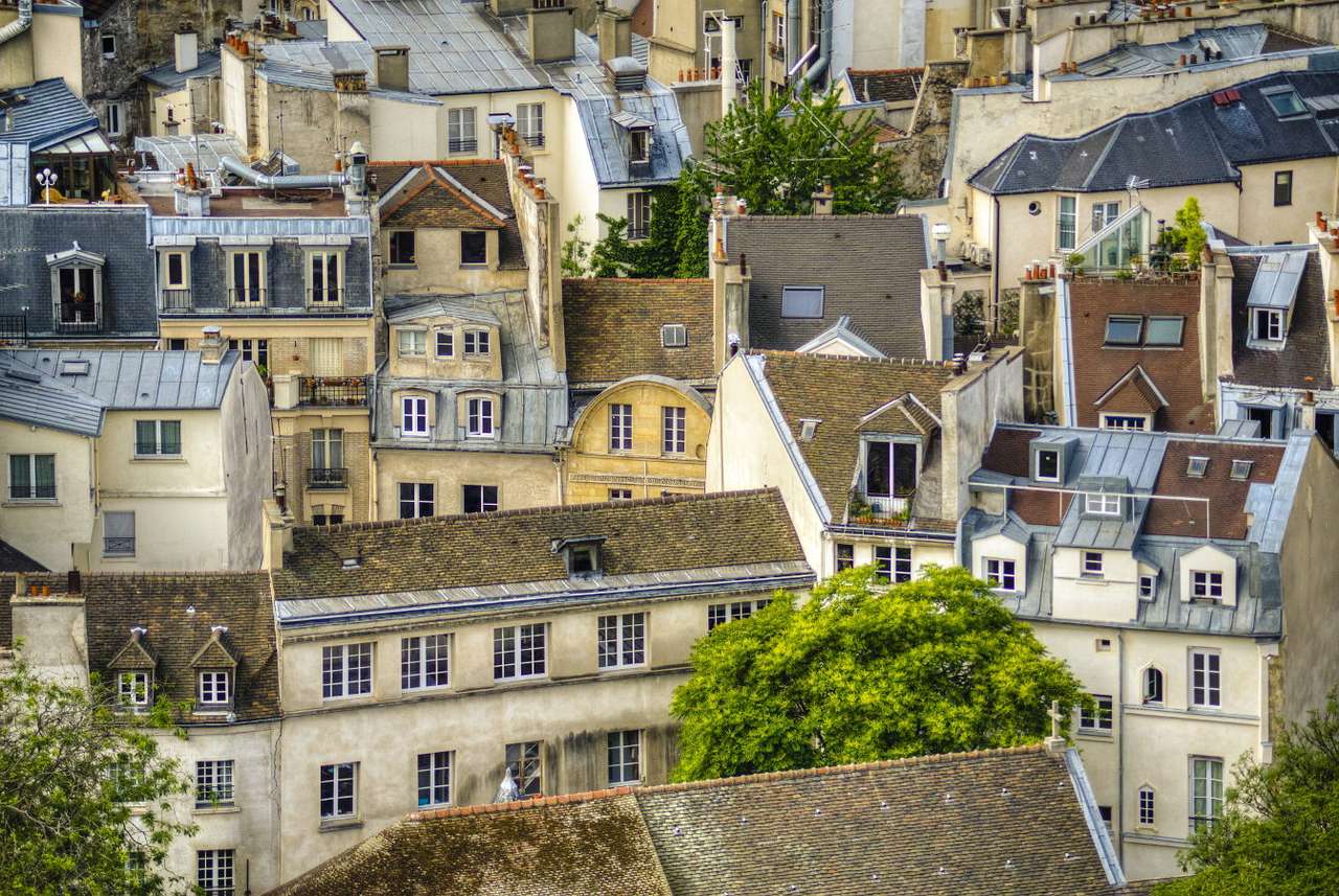 Στέγες των σπιτιών του Παρισιού που βλέπουν από τον πύργο του καθεδρικού ναού της Notre Dame online παζλ