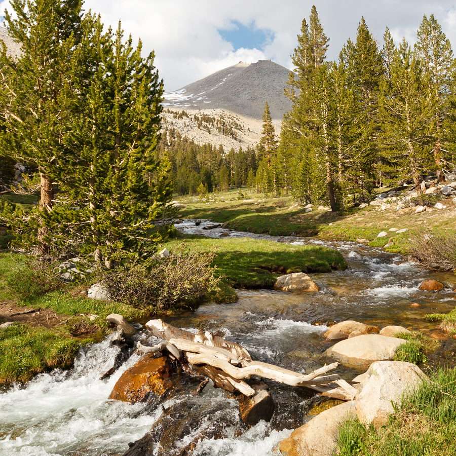 Mountainous creek at the foot of Mount Whitney (USA) puzzle online from photo