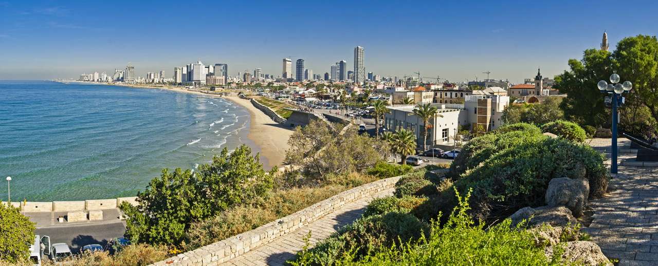 Uitzicht op de kustlijn van Tel Aviv (Israël) puzzel online van foto