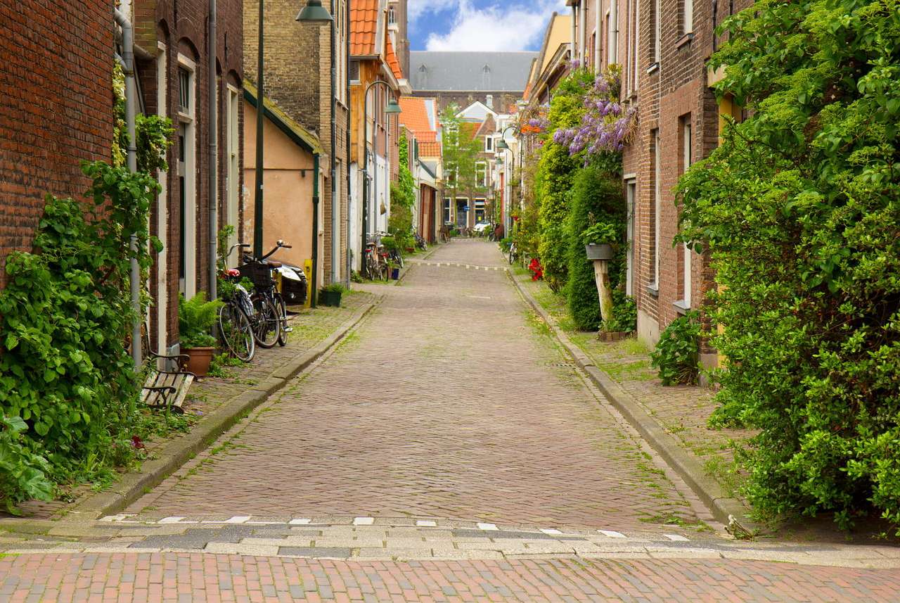 Street in Delft (the Netherlands) puzzle online from photo