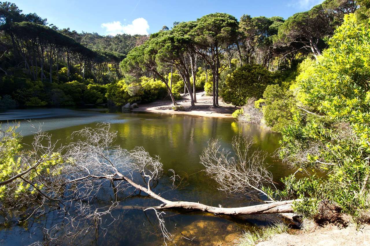 Национален парк Пенеда-Жерес (Португалия) онлайн пъзел от снимка