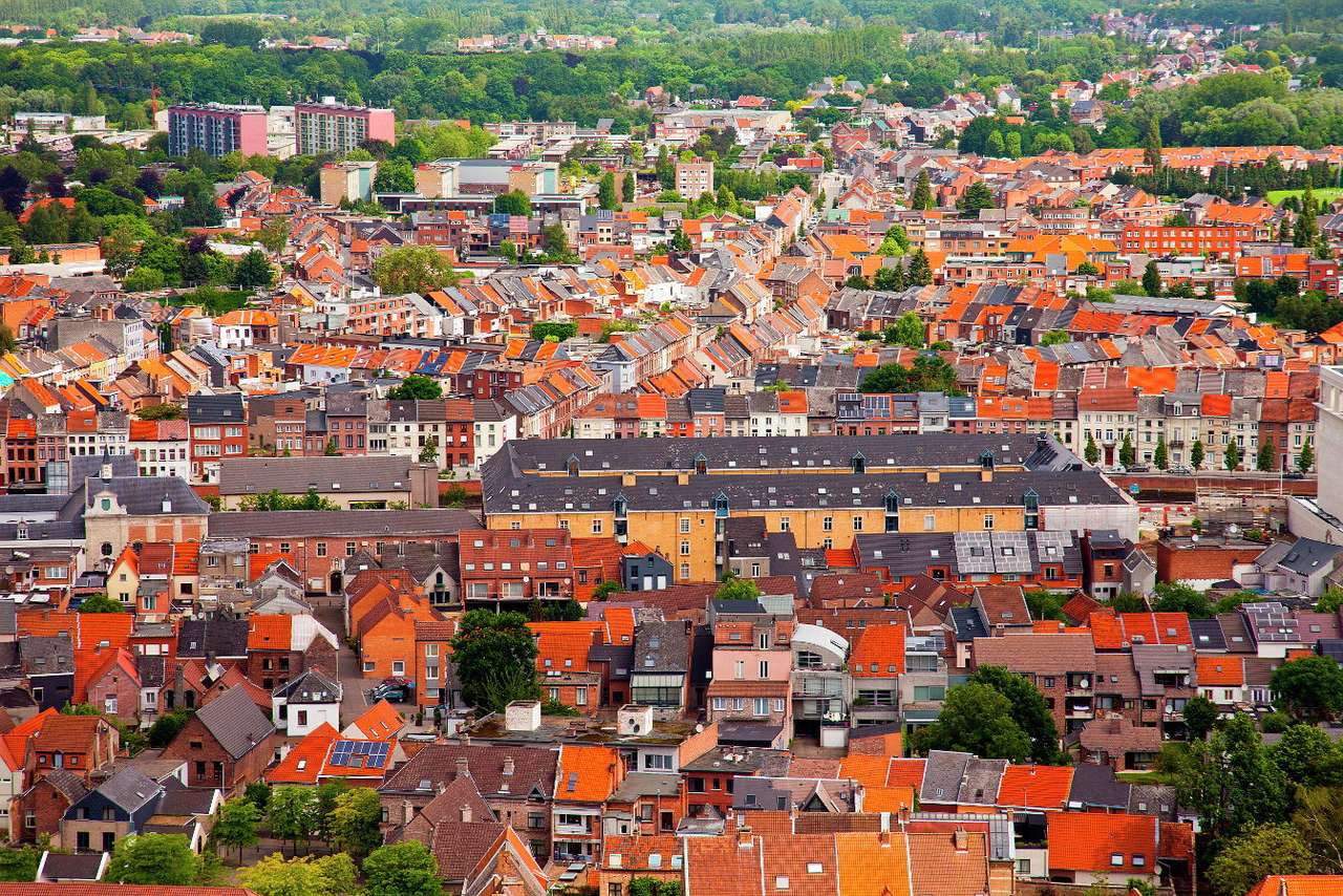Panorama över Mechelen (Belgien) pussel online från foto