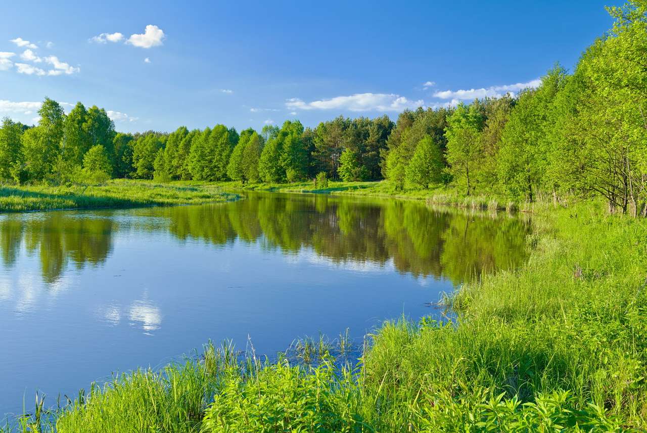 Die Schönheit der Natur am Fluss Narew (Polen) Online-Puzzle