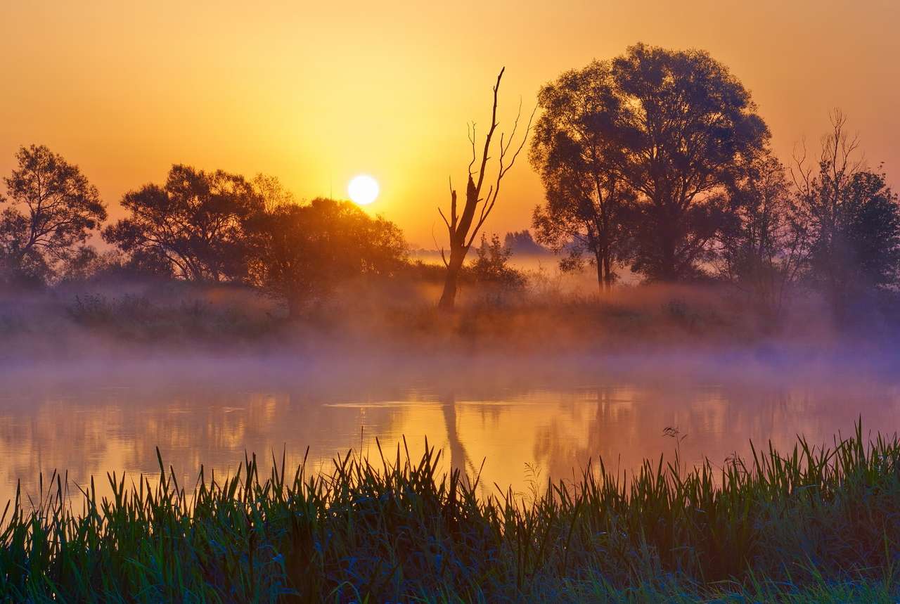 Foggy sunrise over the Narew River (Poland) online puzzle