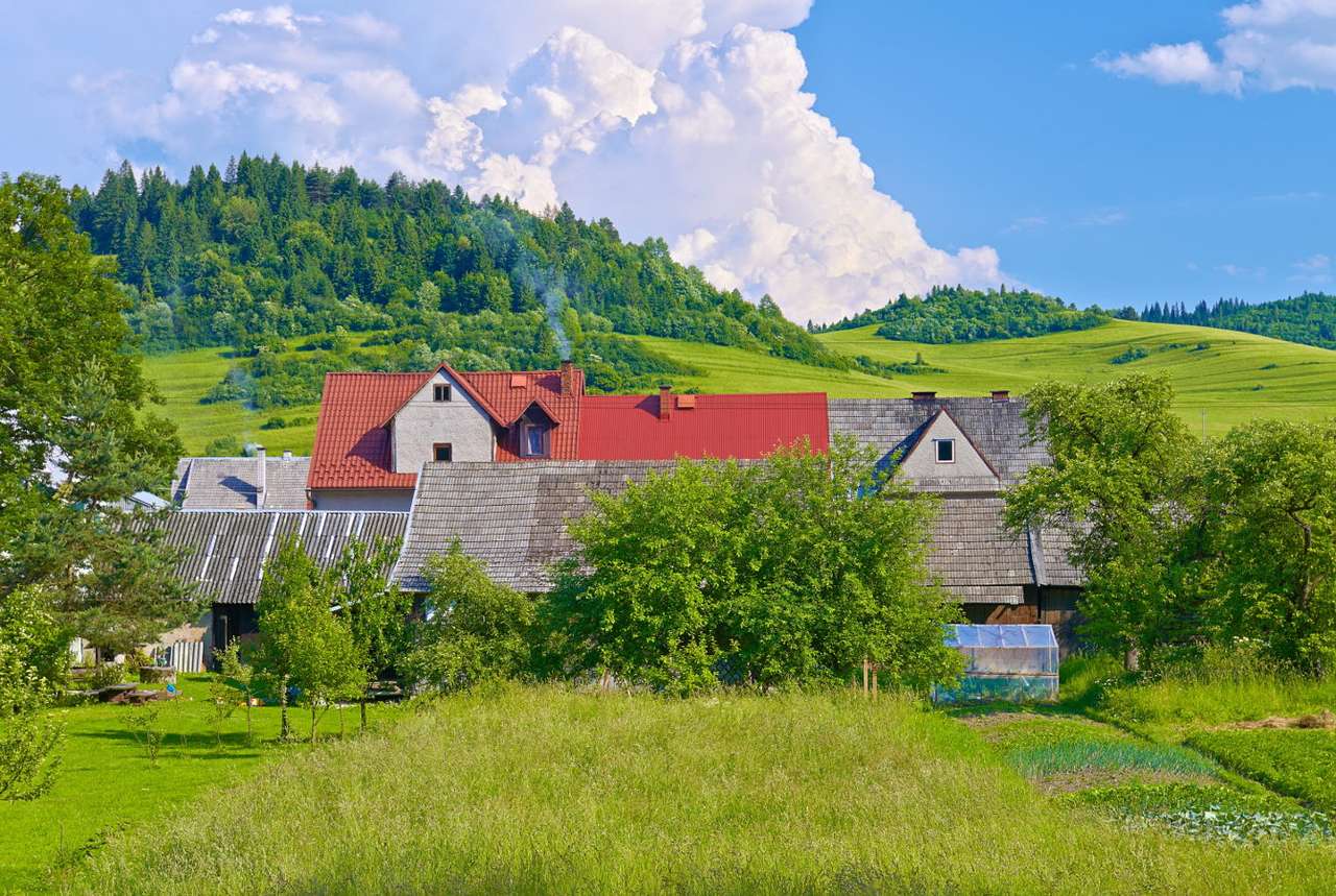 Αγροτικές κατοικίες κοντά στα σύνορα Πολωνίας-Σλοβακίας online παζλ