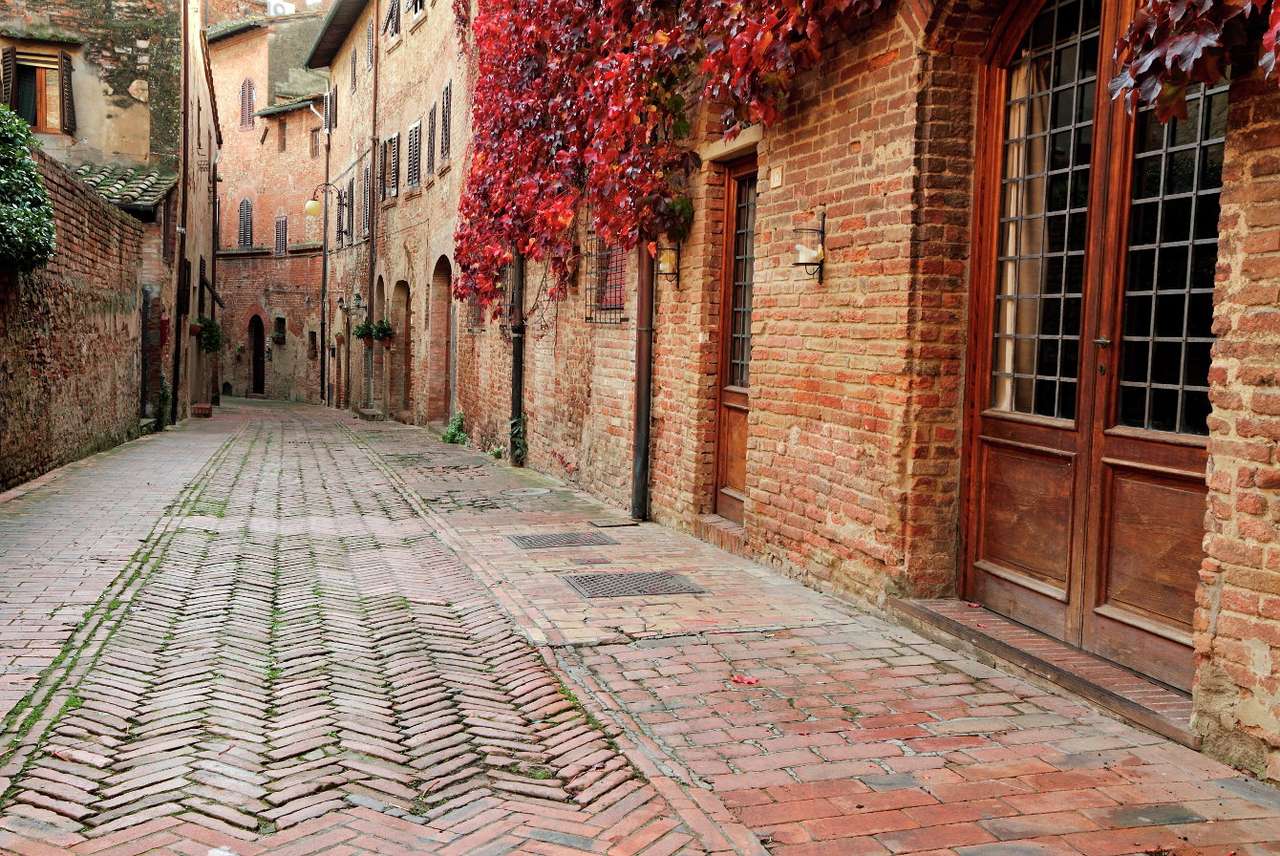 Street in Certaldo (Italy) puzzle online from photo