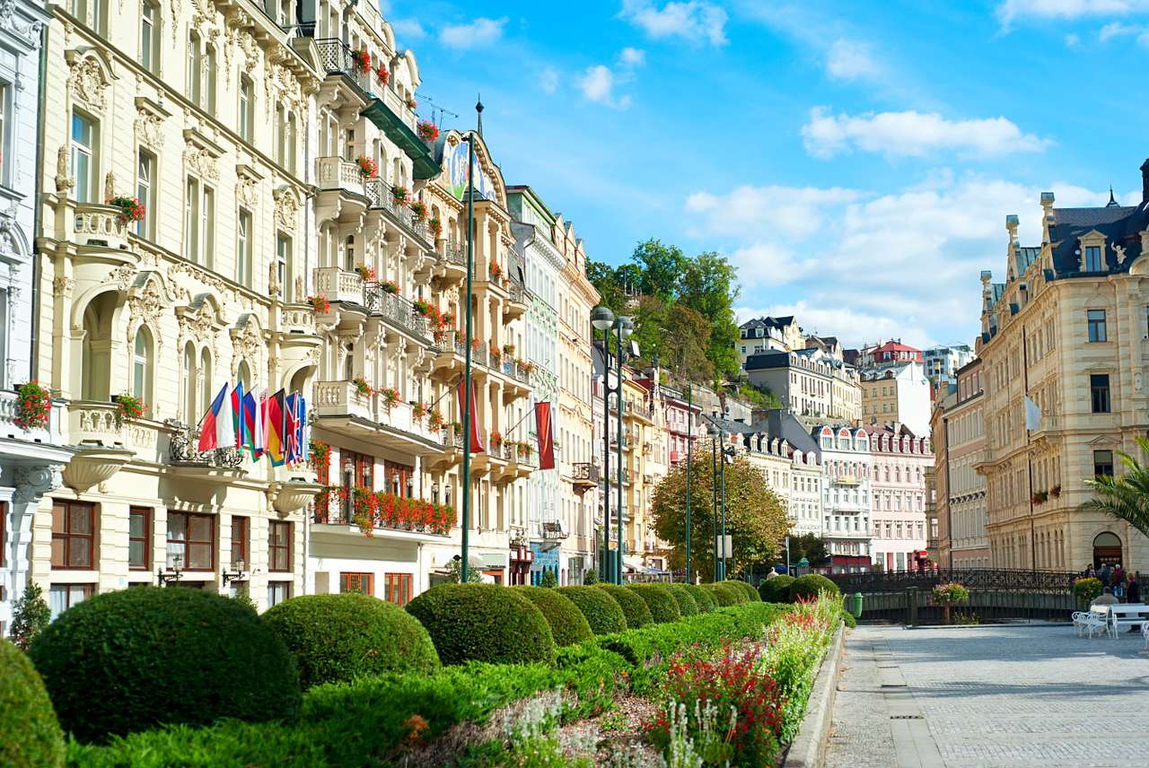 Old town in Karlovy Vary (Czech Republic) online puzzle