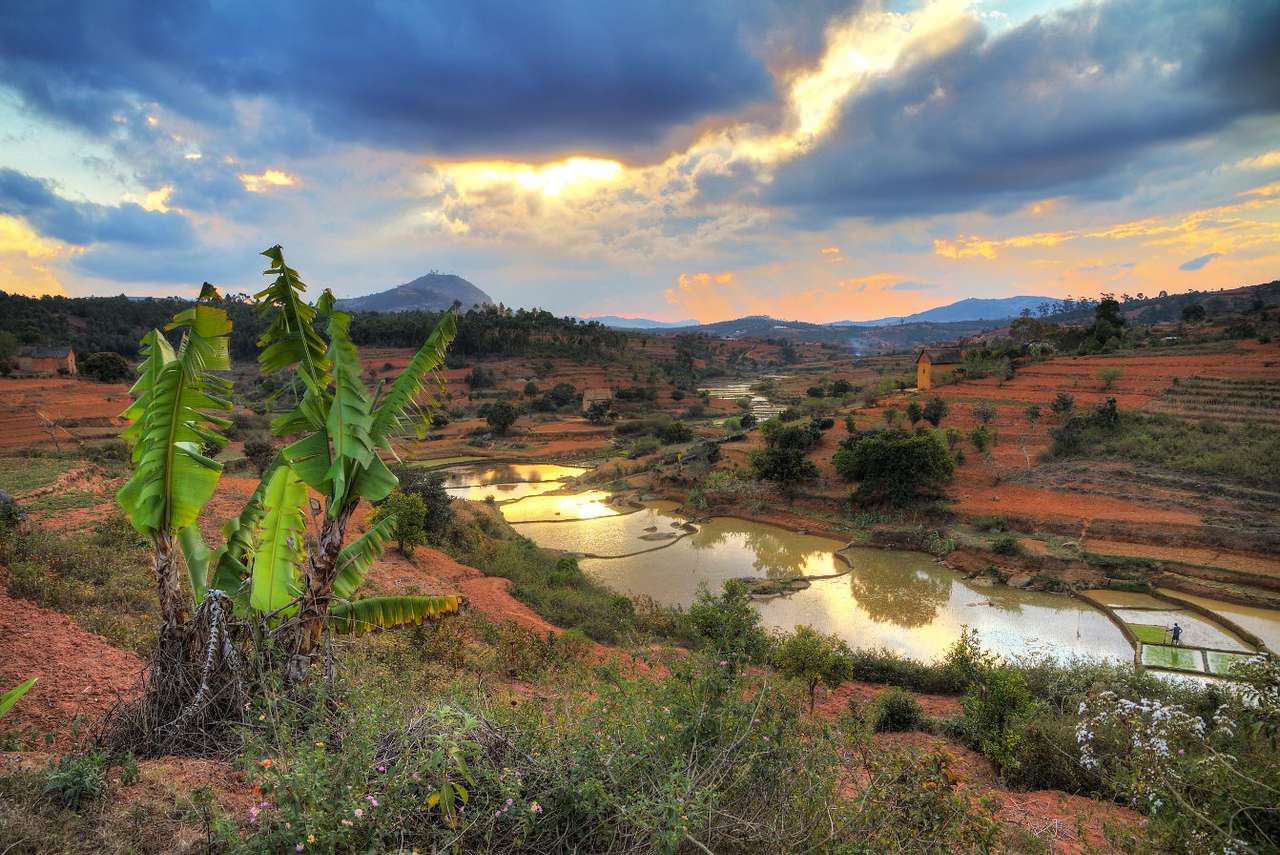 Уникален пейзаж (Мадагаскар) онлайн пъзел