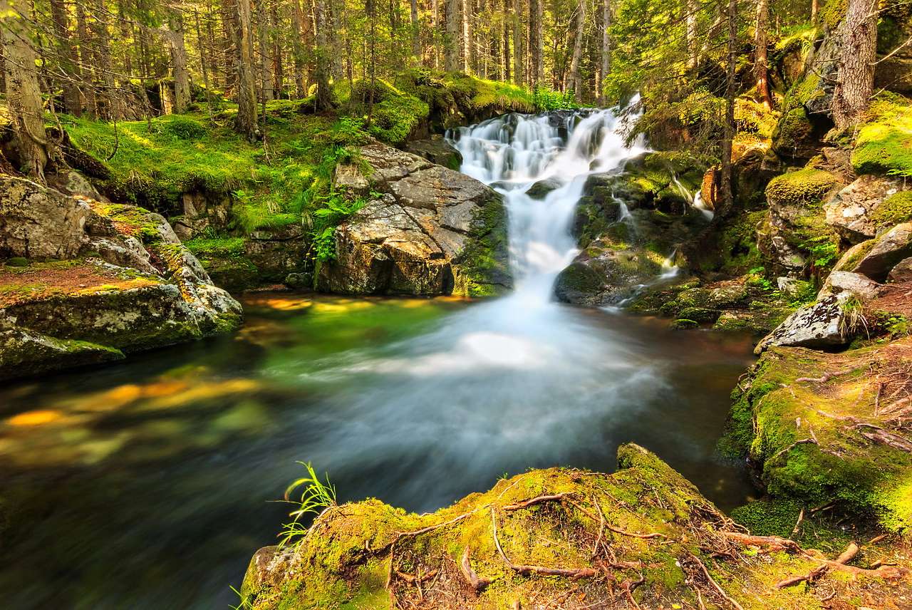 Планински поток в Национален парк Ретезат (Румъния) онлайн пъзел от снимка