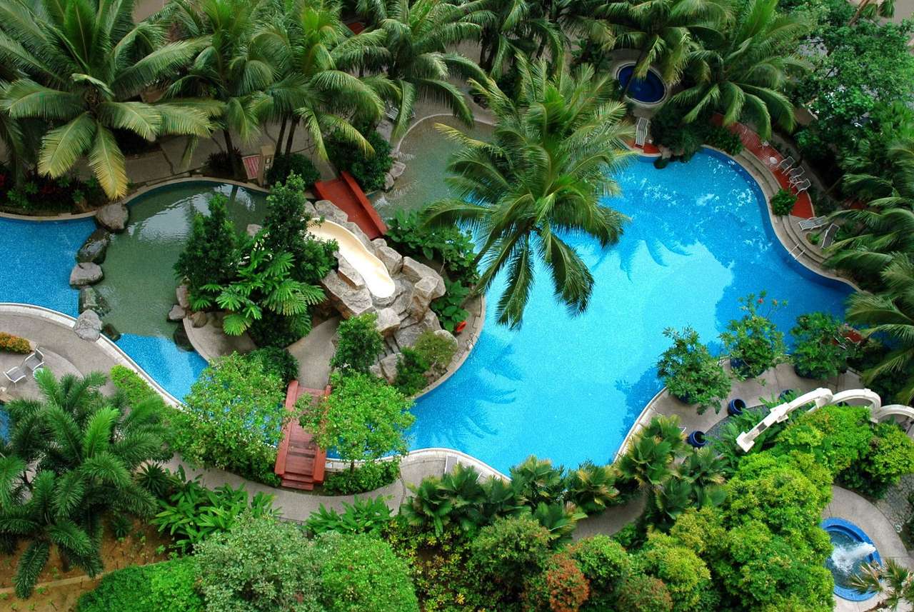 Vista de pájaro de la piscina y las palmeras puzzle online a partir de foto