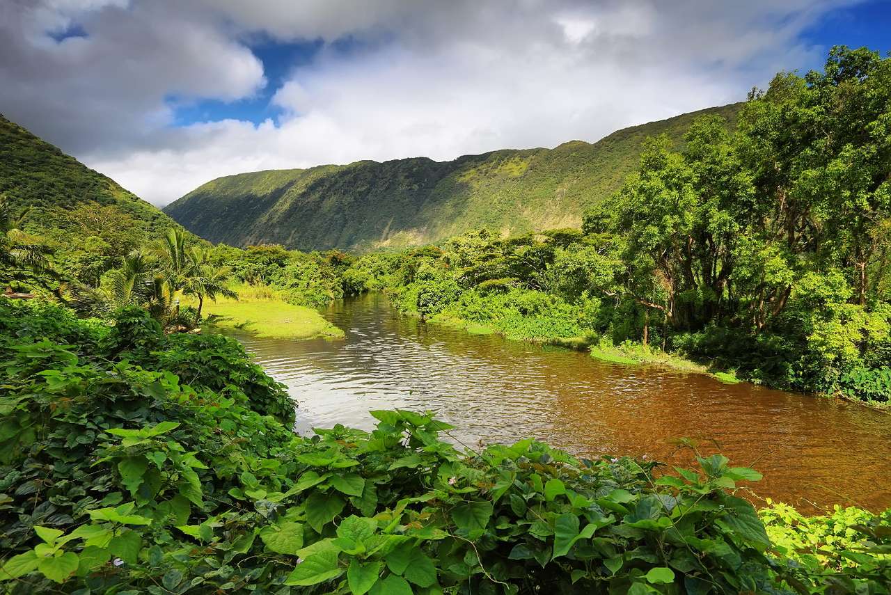 Waipio Valley (USA) puzzle online from photo