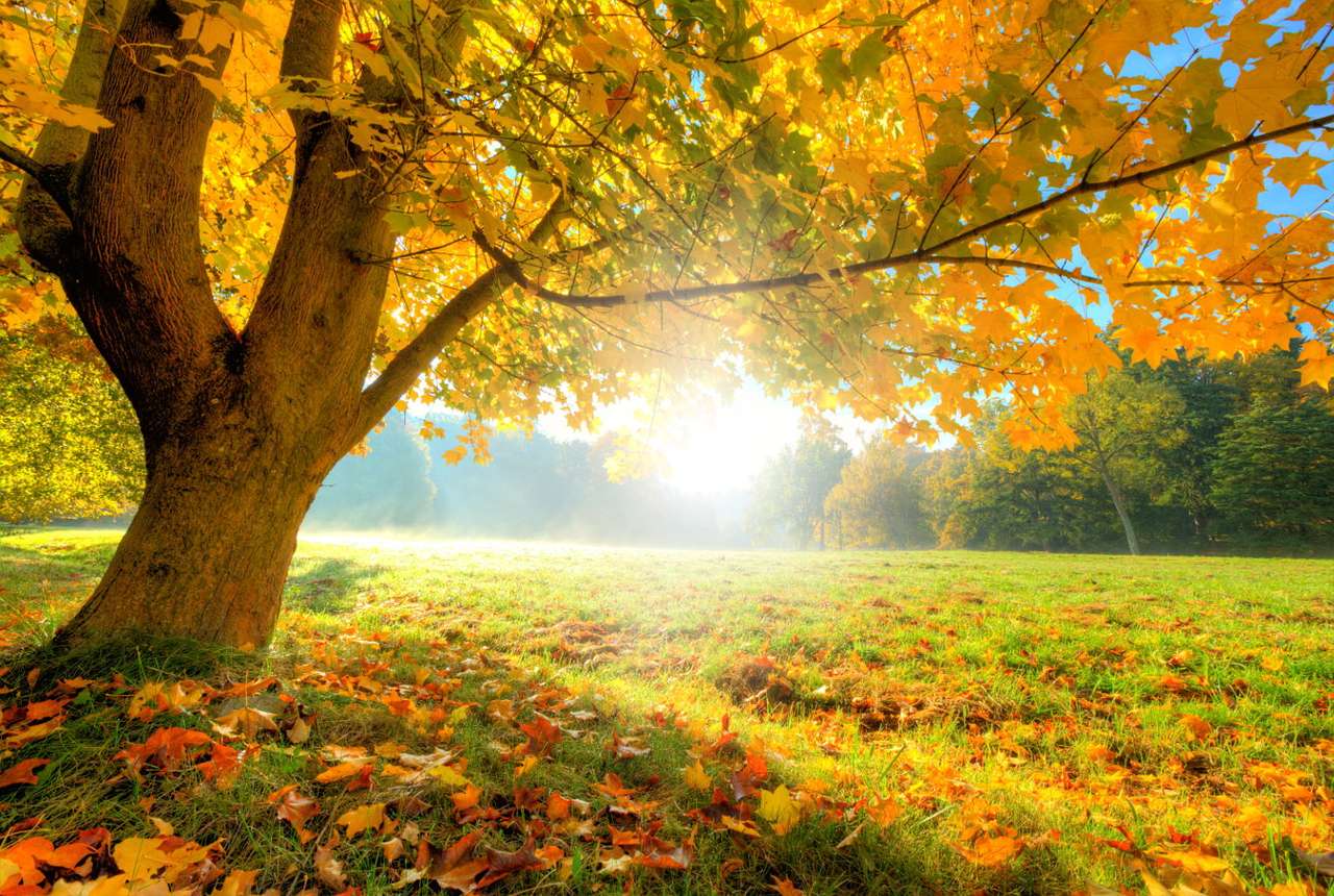 Día soleado de otoño rompecabezas en línea