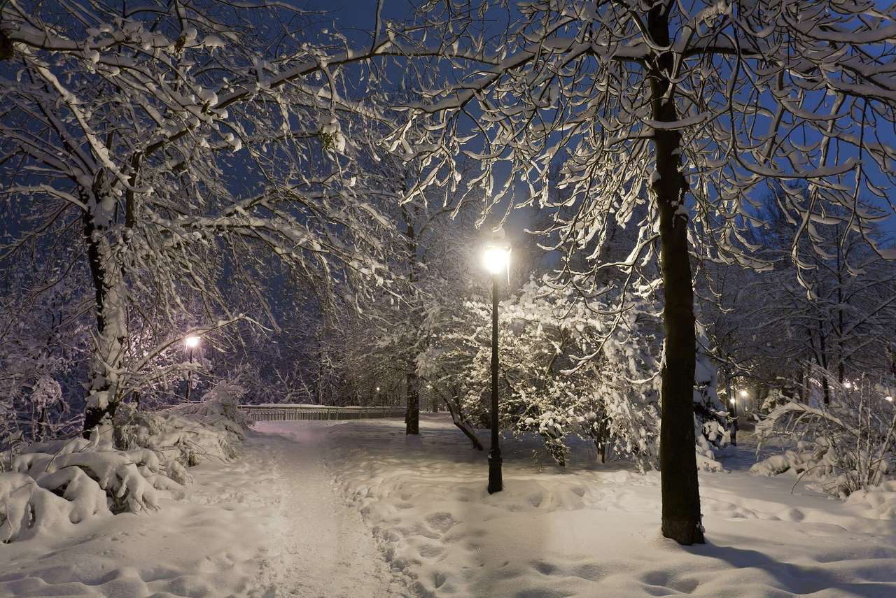 Snöig gränd i parken Pussel online