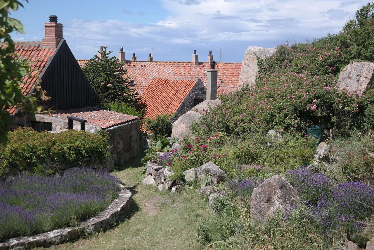 Grădină lângă case istorice din Christiansø (Danemarca) puzzle online