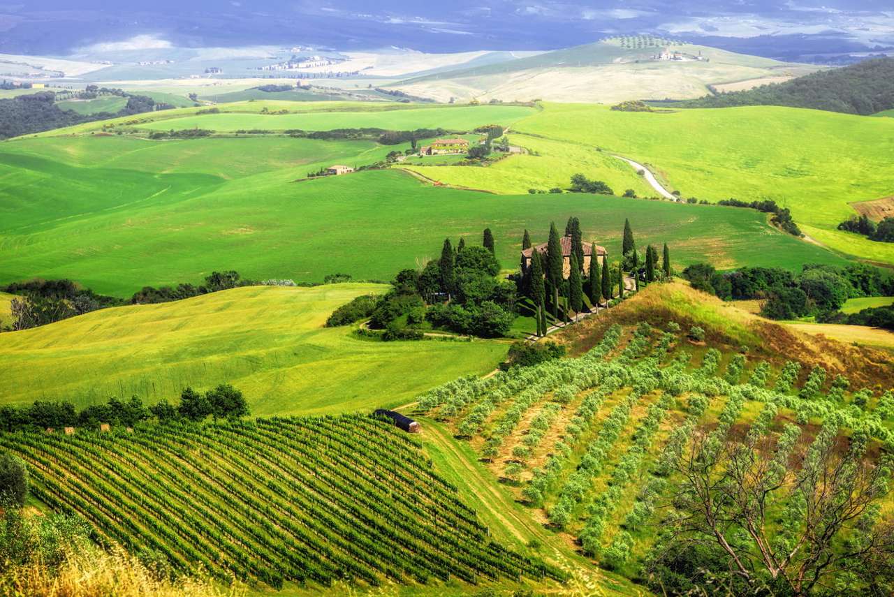 Meadows and fields in Val d'Orcia (Italy) online puzzle