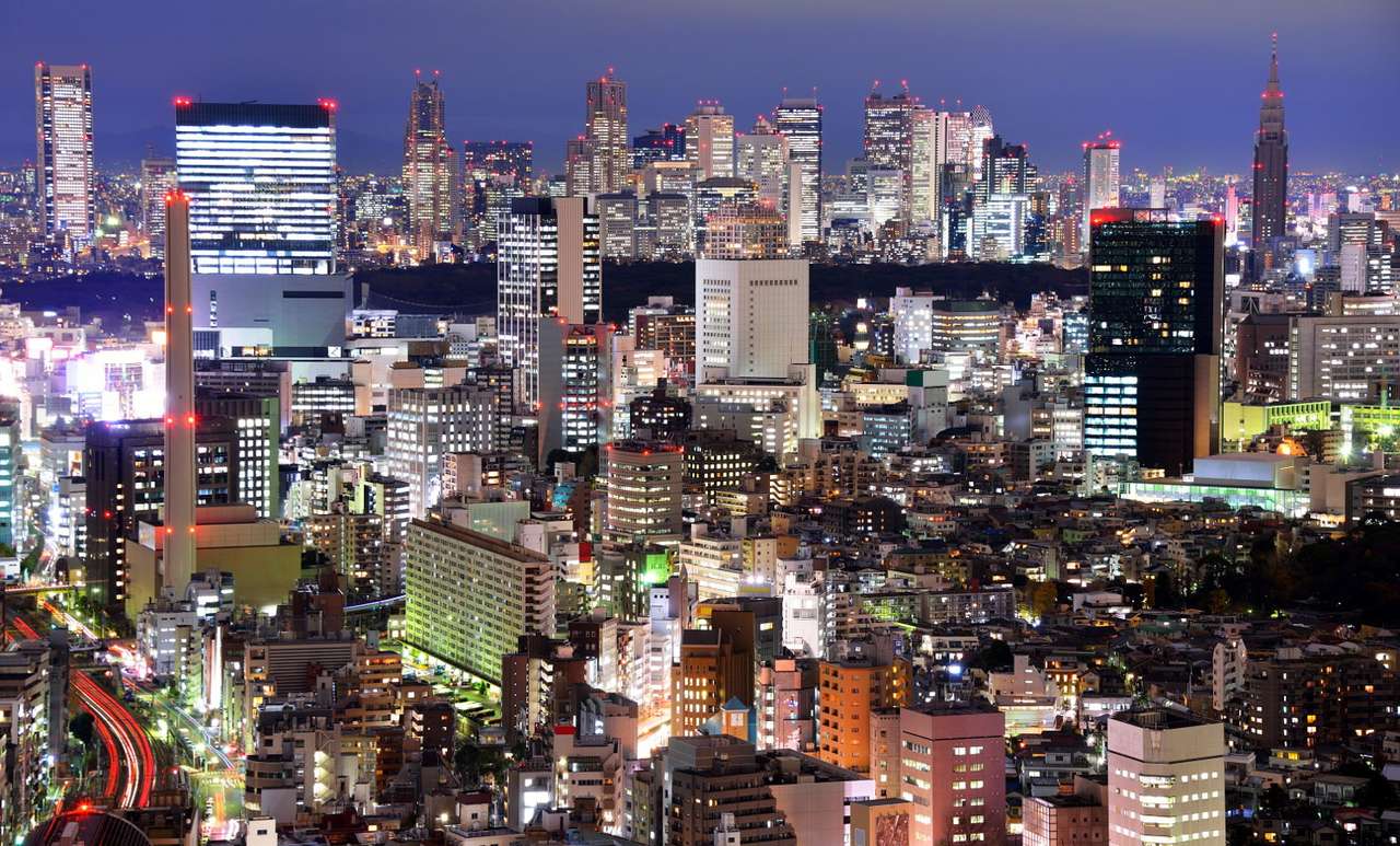 Panorama över Shinjuku på natten (Japan) pussel online från foto