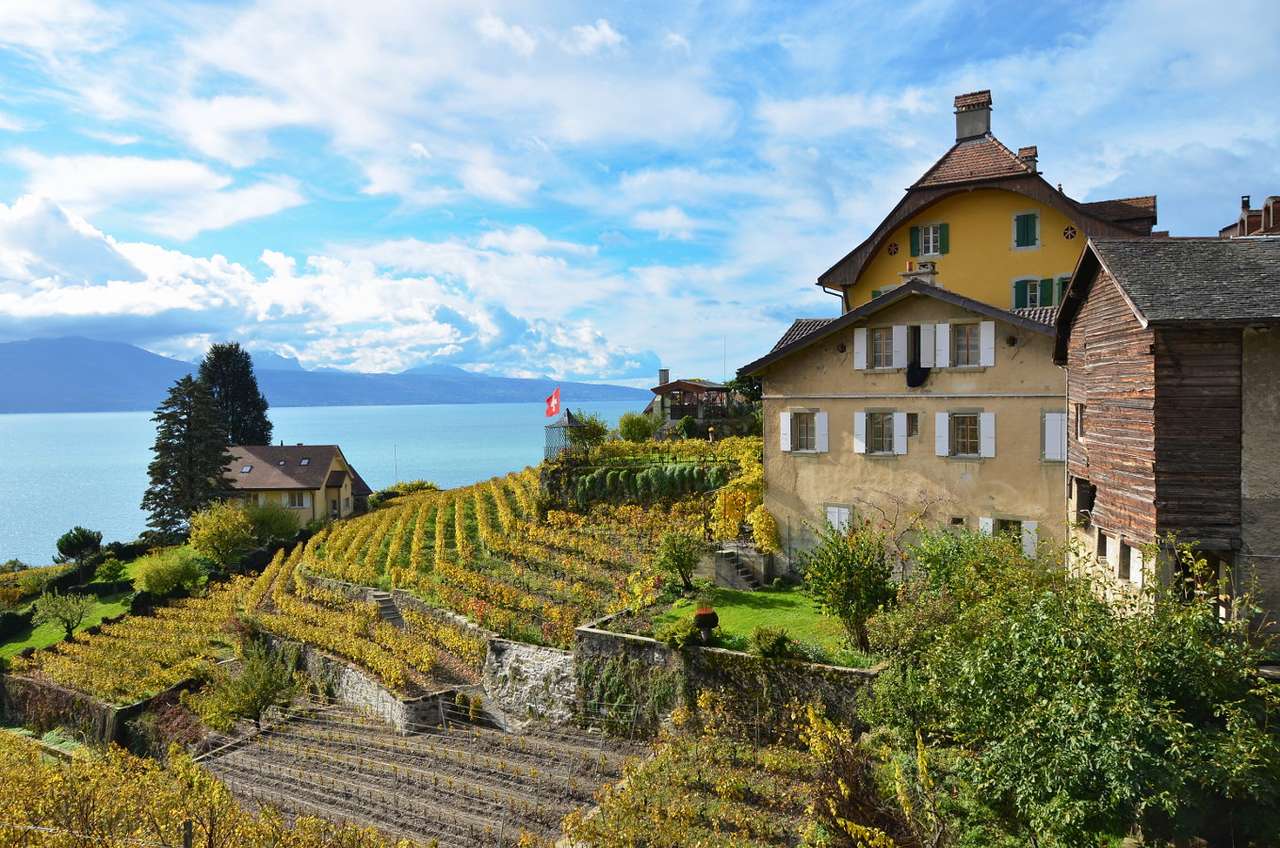 Vingård i Lavaux (Schweiz) pussel online från foto