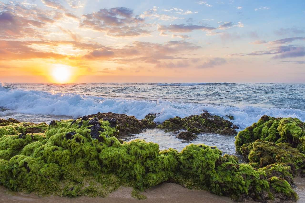 Isla O'ahu, Hawái (EE. UU.) puzzle online a partir de foto