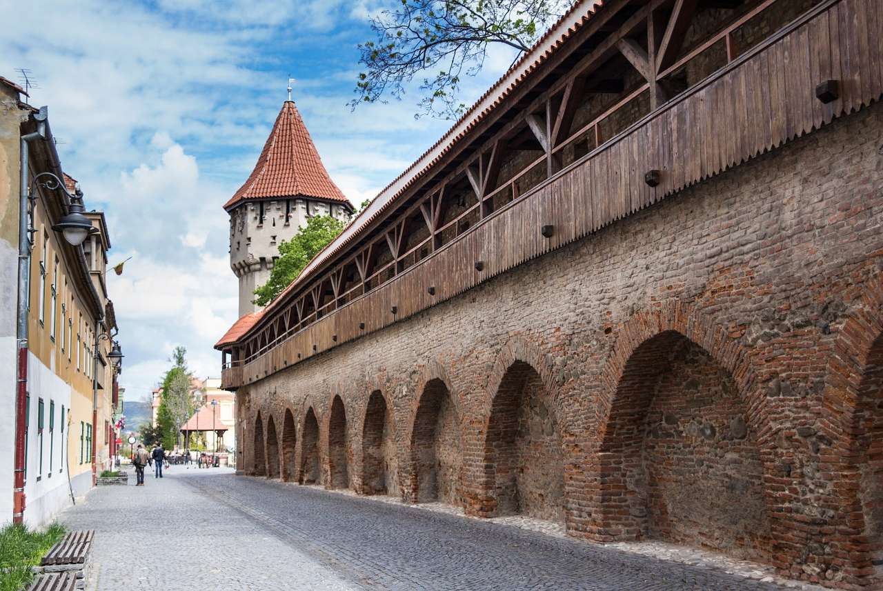 Verdedigingsmuren van Sibiu (Roemenië) online puzzel