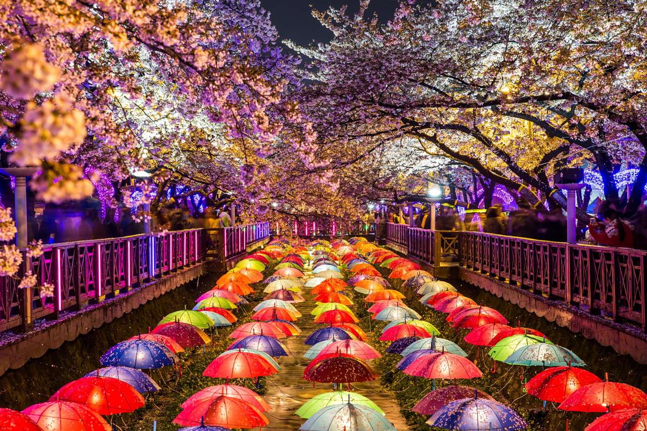 Blooming cherries in Jinhae (South Korea) puzzle online from photo