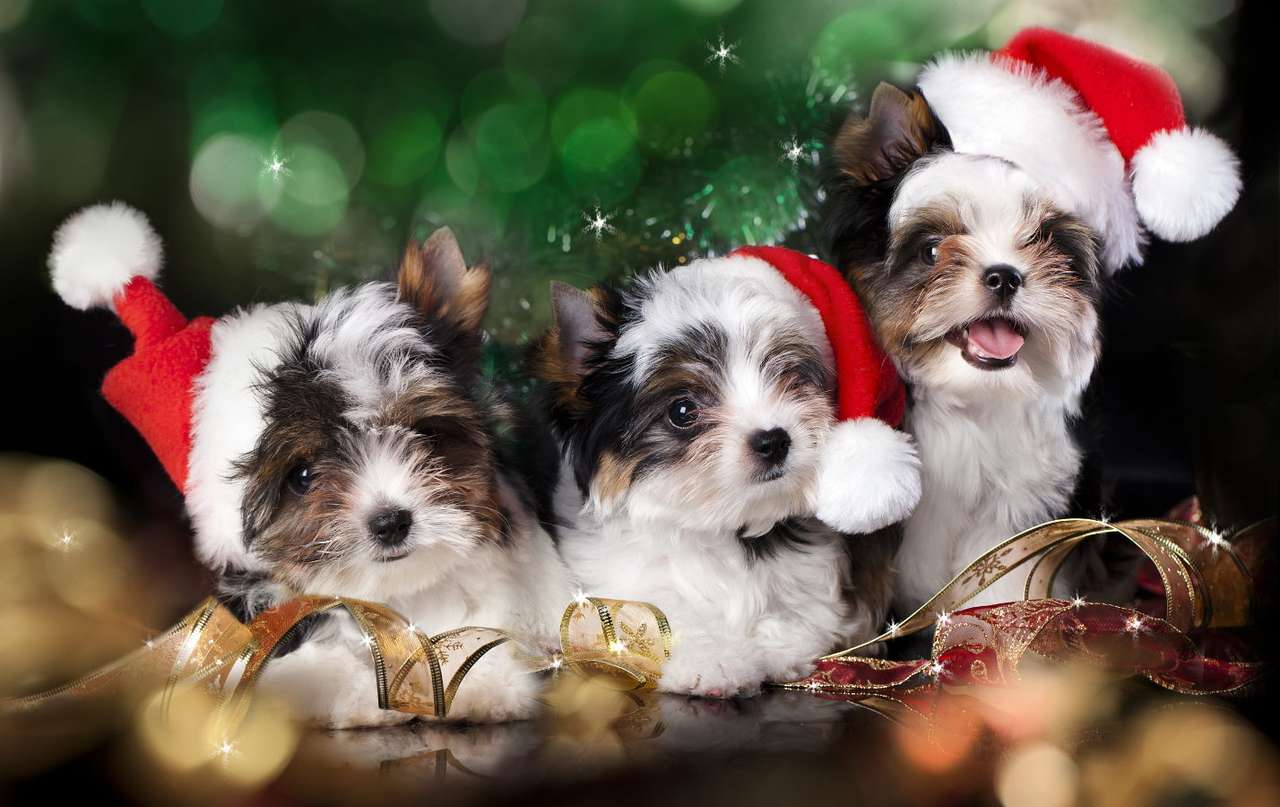 Kerst puppies online puzzel