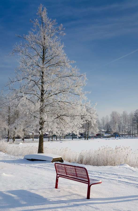 Winter walk puzzle online from photo