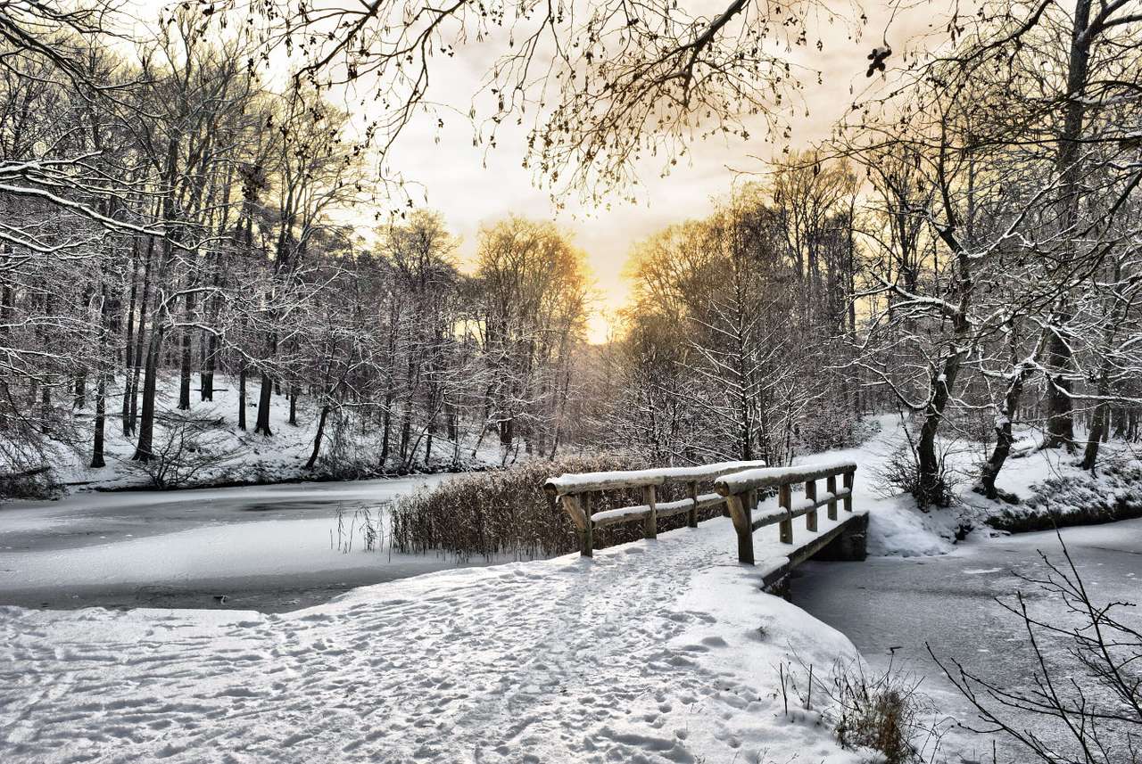 Χειμερινό πάρκο παζλ online από φωτογραφία