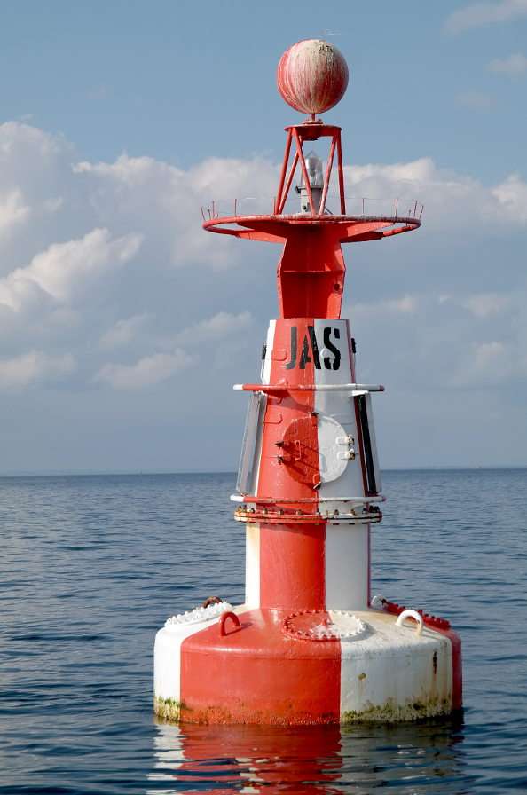 JAS buoy online puzzle