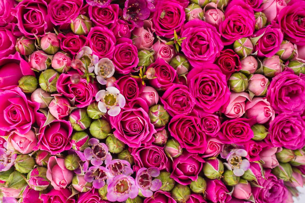 Blumenwand Online-Puzzle vom Foto