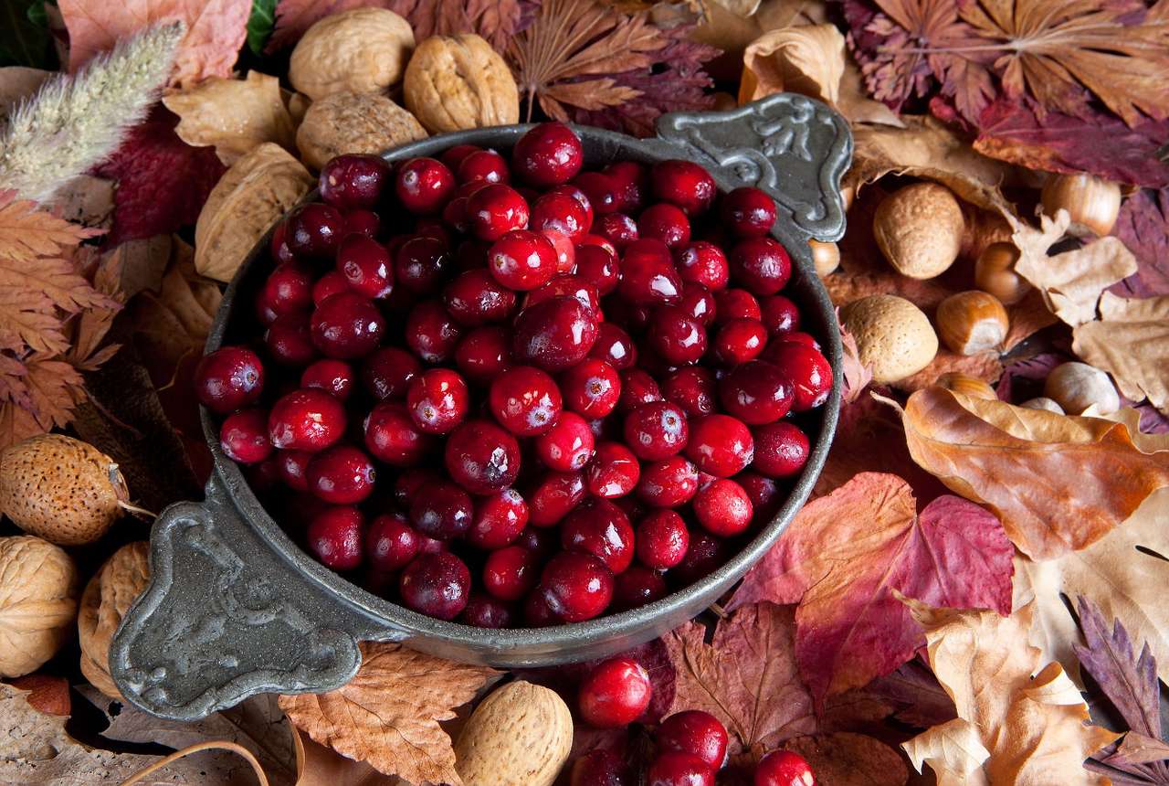 Cranberries in a cast-iron bowl among autumn leaves online puzzle