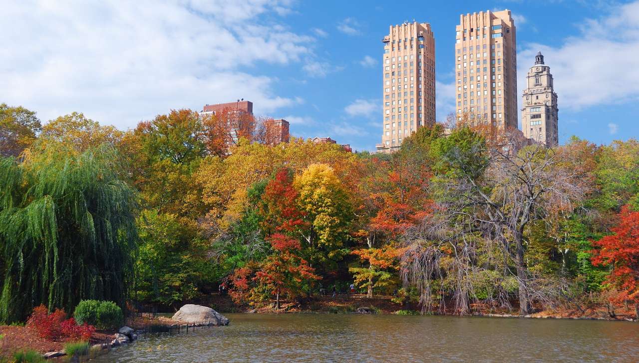 Lake in autumn Central Park (USA) online puzzle