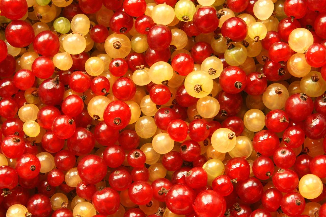 Red and white currants puzzle online from photo