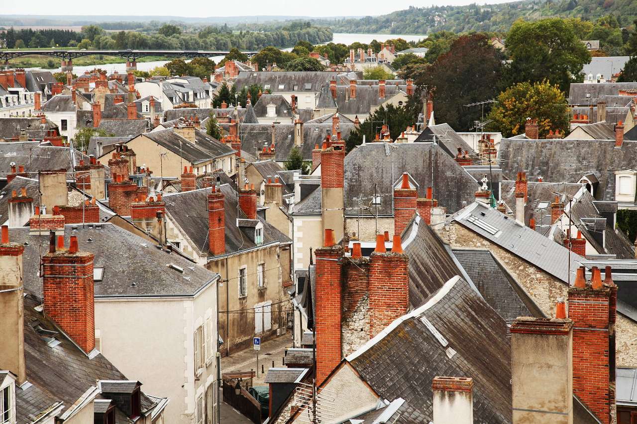 Utsikt över hustaken i Blois (Frankrike) pussel online från foto