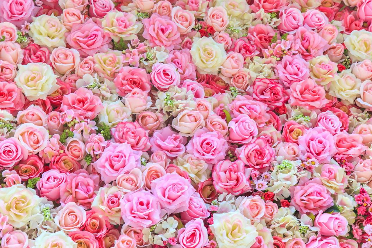 Roze rozen - knoppen puzzel online van foto