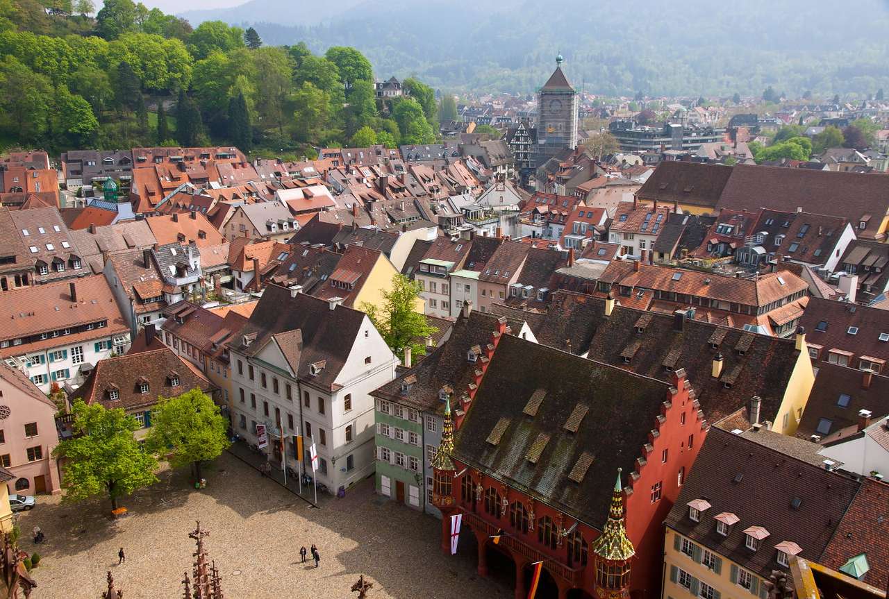 Freiburg im Breisgau (Duitsland) puzzel online van foto