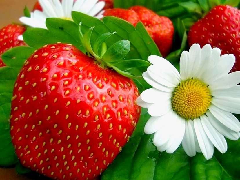 Strawberry flower puzzle online from photo