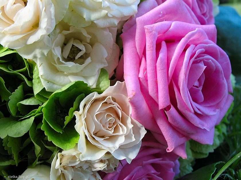 Bouquet of roses online puzzle