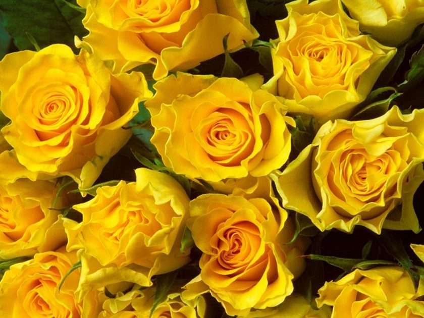 Μπουκέτο με κίτρινα τριαντάφυλλα παζλ online από φωτογραφία