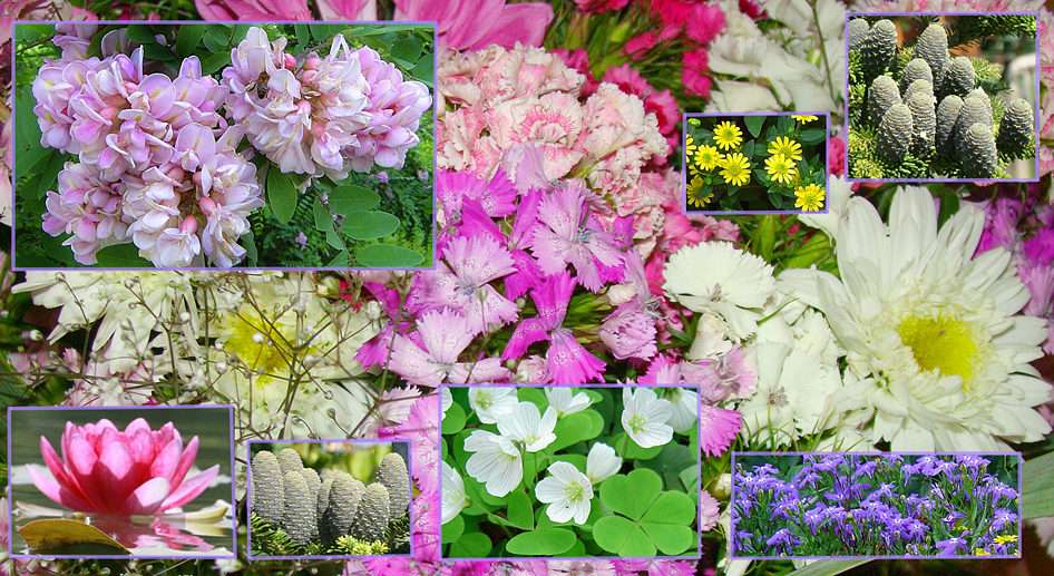 SPRING COLLAGE puzzle online from photo