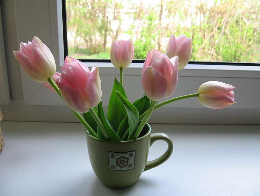 tulipani puzzle online