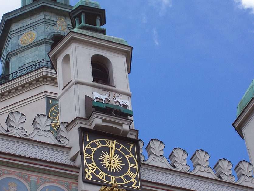 Poznań billy kecskék a városházán puzzle online fotóról
