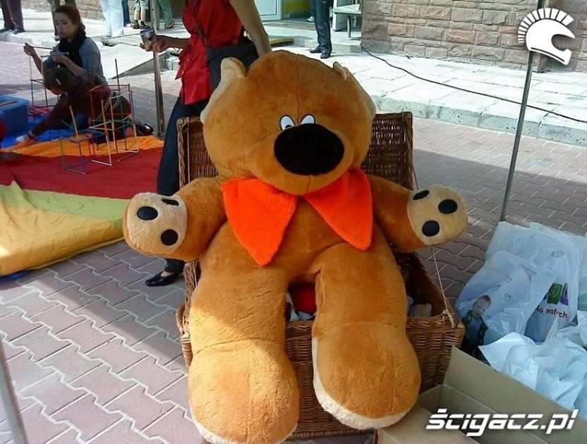 Teddy puzzle online from photo