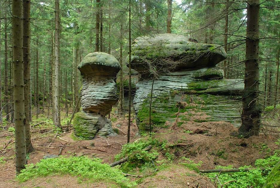 Rock Mushrooms puzzle online from photo