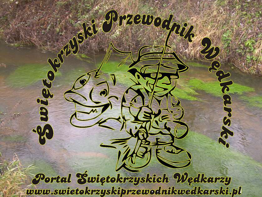 www.swietokrzyskipwiedznikwedkarski.pl онлайн пъзел