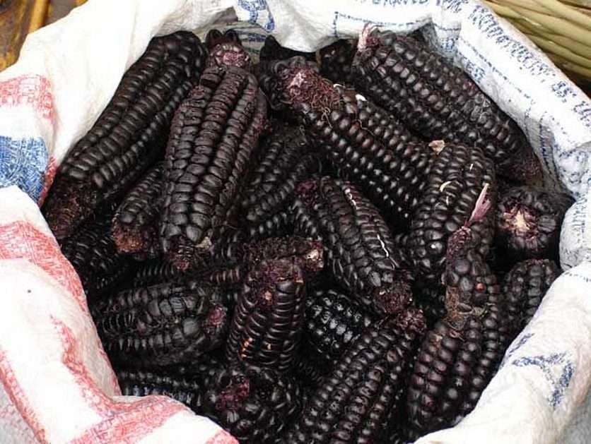 Чорна кукурудза в качанах онлайн пазл