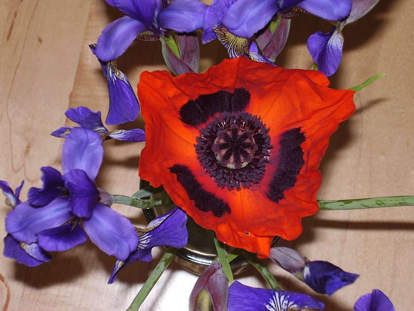 Tavaszi virágok puzzle online fotóról
