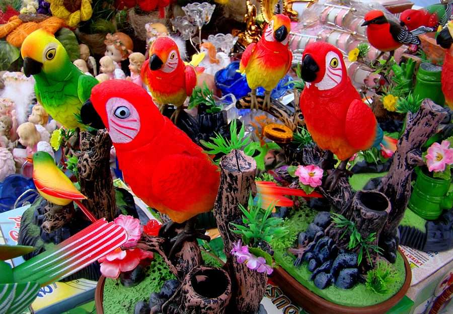 Papagali POZITIVI puzzle online din fotografie