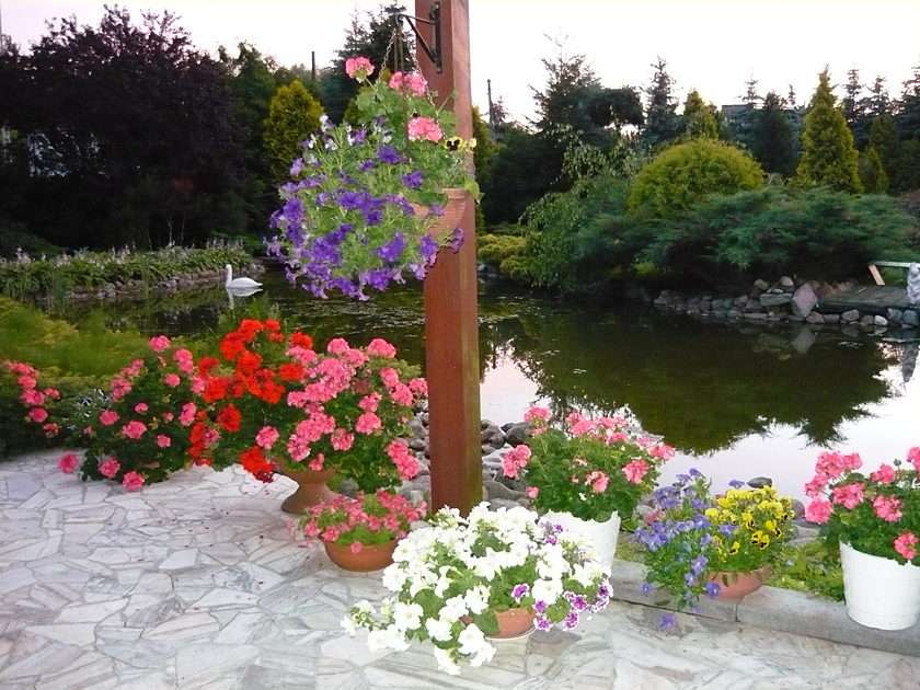 Virágokkal teli kert online puzzle