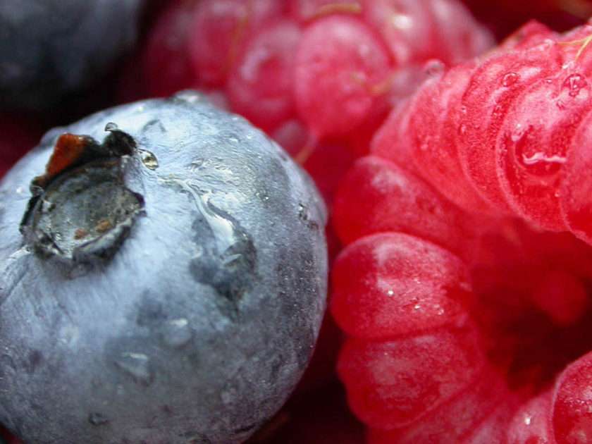 Frutas da floresta puzzle online a partir de fotografia