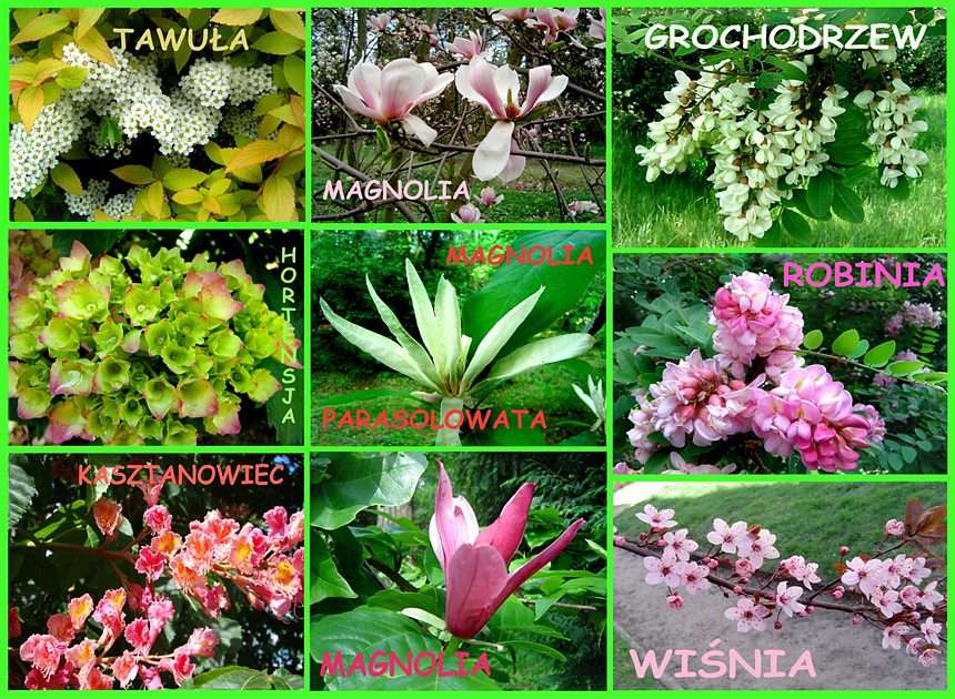 Arbustes à fleurs printanières puzzle en ligne